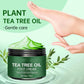 Lugnande fotkräm med aloe vera och tea tree