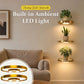 💡 Svävande Vägghylla med Inbyggd Ambient LED-belysning – Modern Växtdisplay – Perfekt för Inomhusträdgårdar & Lägenheter ✨
