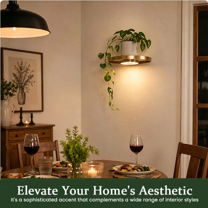 💡 Svävande Vägghylla med Inbyggd Ambient LED-belysning – Modern Växtdisplay – Perfekt för Inomhusträdgårdar & Lägenheter ✨
