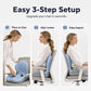 ✨ Ergonomisk sittdyna i memoryskum med ryggstöd – bekväm och stödjande för hemmet, kontoret och bilen 💺🛡️